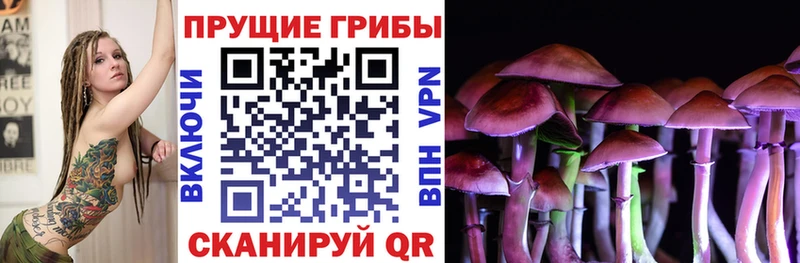 Галлюциногенные грибы Cubensis  Курчатов 